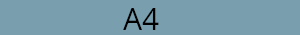 A4