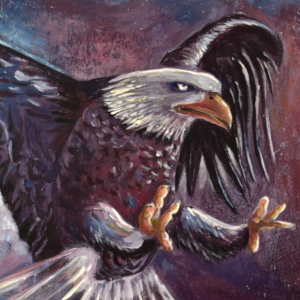 Adler Acryl